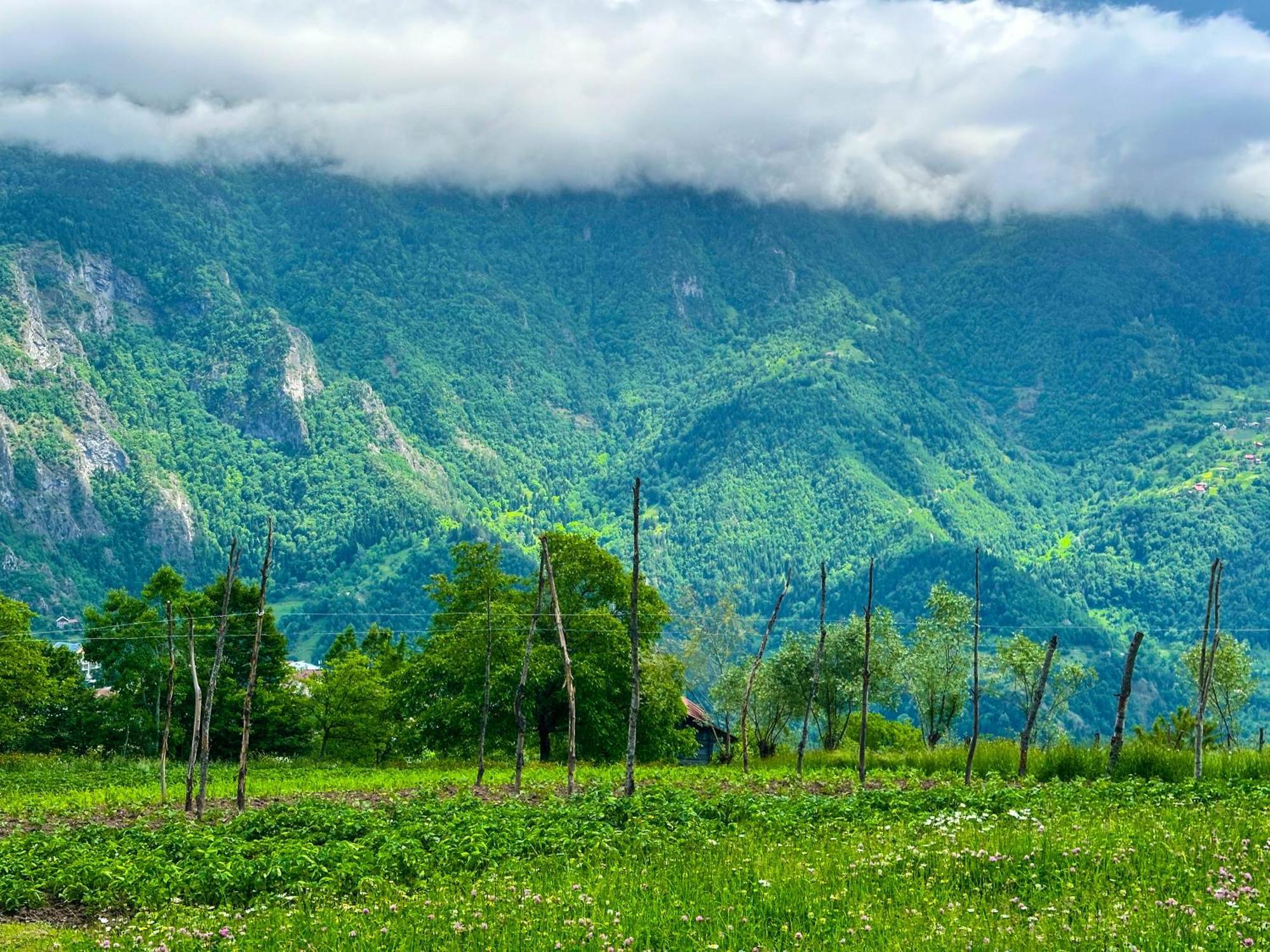 Armazi Hotel Khulo Ngoại thất bức ảnh